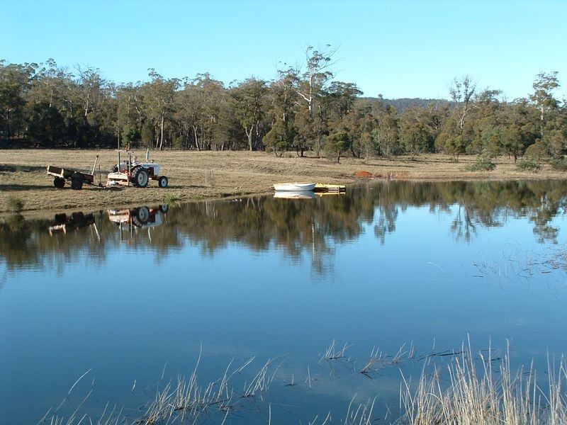 719 Old Coach Rd, Swansea TAS 7190