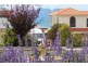 4 Freycinet Court, Swansea TAS 7190