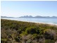 956 Dolphin Sands Road, Dolphin Sands TAS 7190