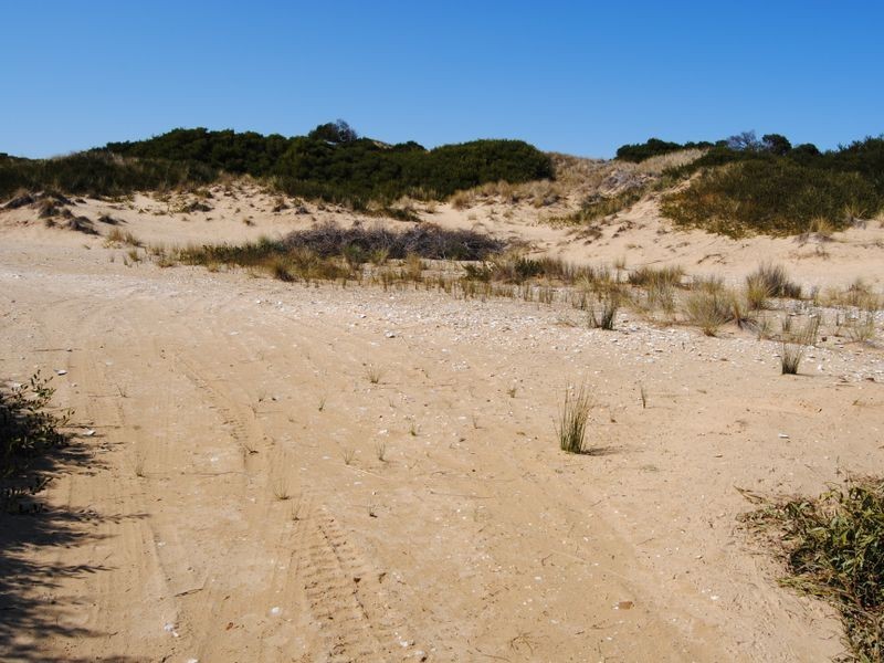 956 Dolphin Sands Road, Dolphin Sands TAS 7190