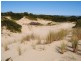 956 Dolphin Sands Road, Dolphin Sands TAS 7190