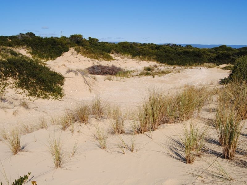 956 Dolphin Sands Road, Dolphin Sands TAS 7190