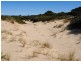956 Dolphin Sands Road, Dolphin Sands TAS 7190