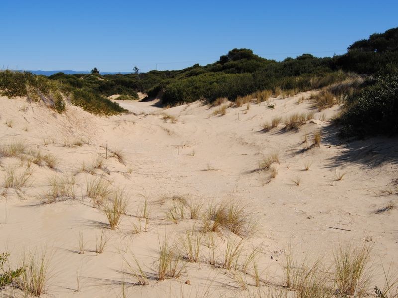 956 Dolphin Sands Road, Dolphin Sands TAS 7190