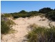 956 Dolphin Sands Road, Dolphin Sands TAS 7190