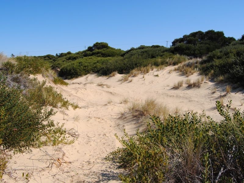 956 Dolphin Sands Road, Dolphin Sands TAS 7190