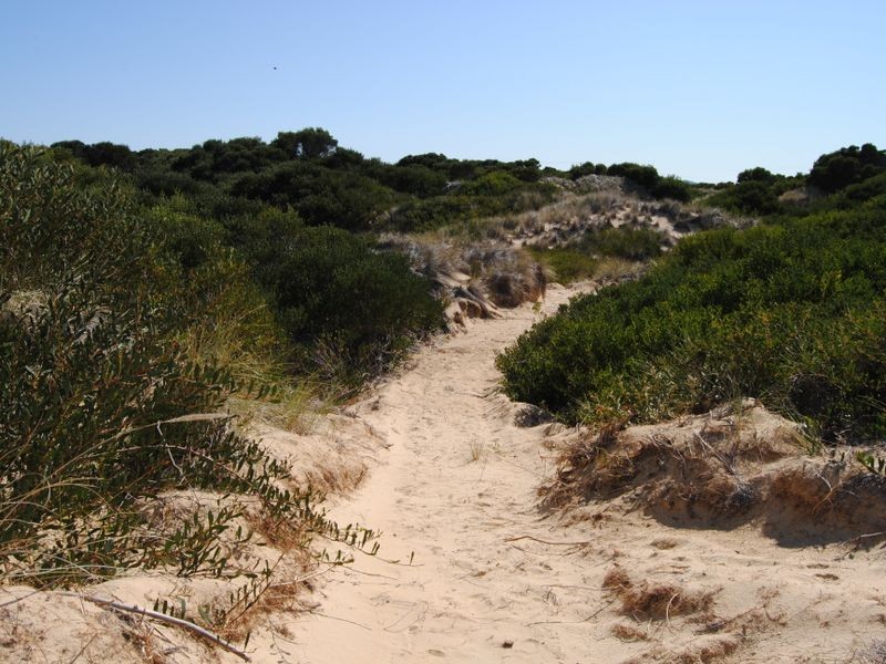 956 Dolphin Sands Road, Dolphin Sands TAS 7190