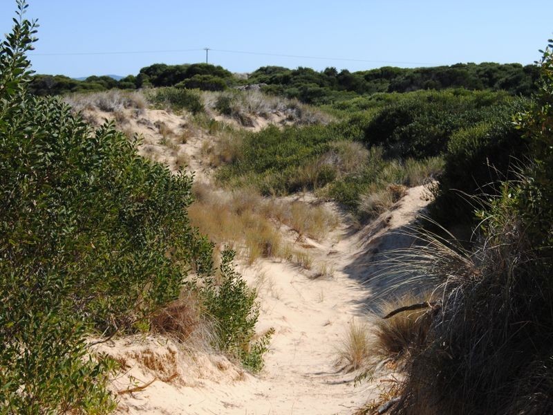 956 Dolphin Sands Road, Dolphin Sands TAS 7190