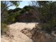 956 Dolphin Sands Road, Dolphin Sands TAS 7190