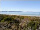 956 Dolphin Sands Road, Dolphin Sands TAS 7190