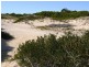 956 Dolphin Sands Road, Dolphin Sands TAS 7190
