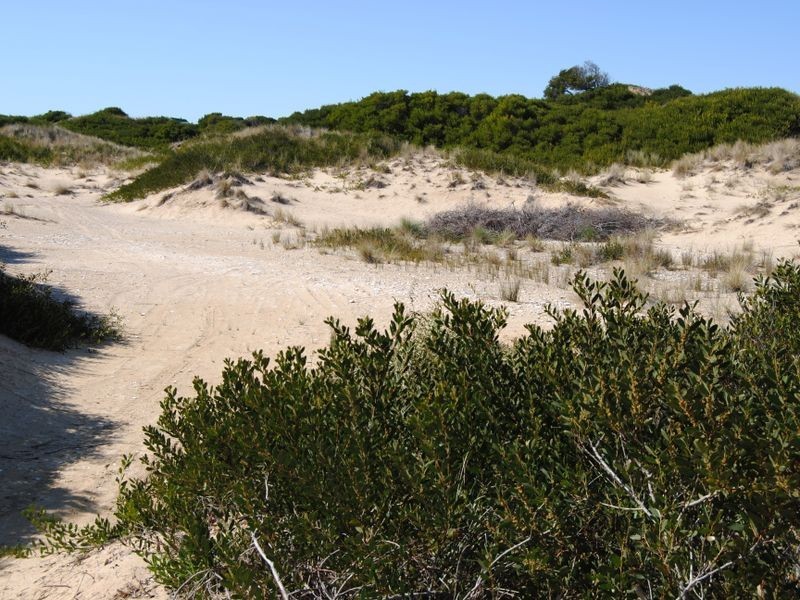 956 Dolphin Sands Road, Dolphin Sands TAS 7190