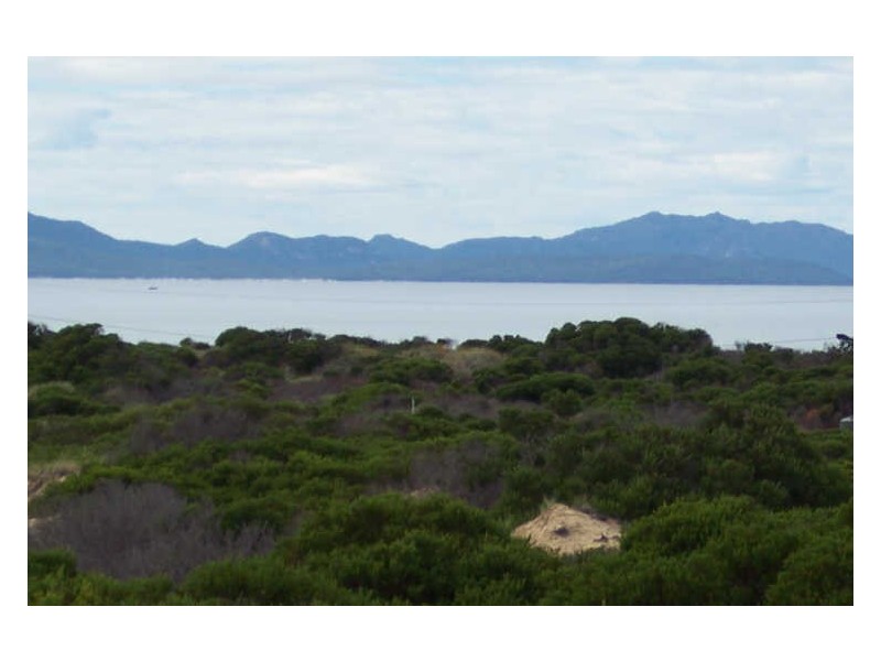 130 Yellow Sandbanks Rd, Dolphin Sands TAS 7190