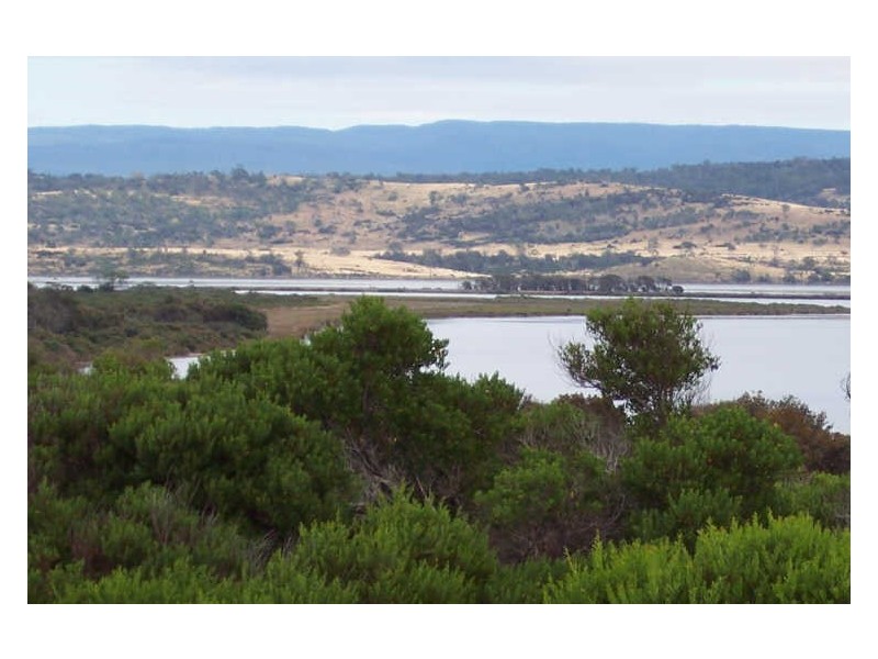 130 Yellow Sandbanks Rd, Dolphin Sands TAS 7190