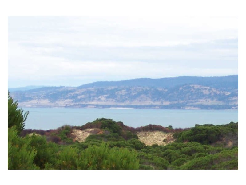 130 Yellow Sandbanks Rd, Dolphin Sands TAS 7190