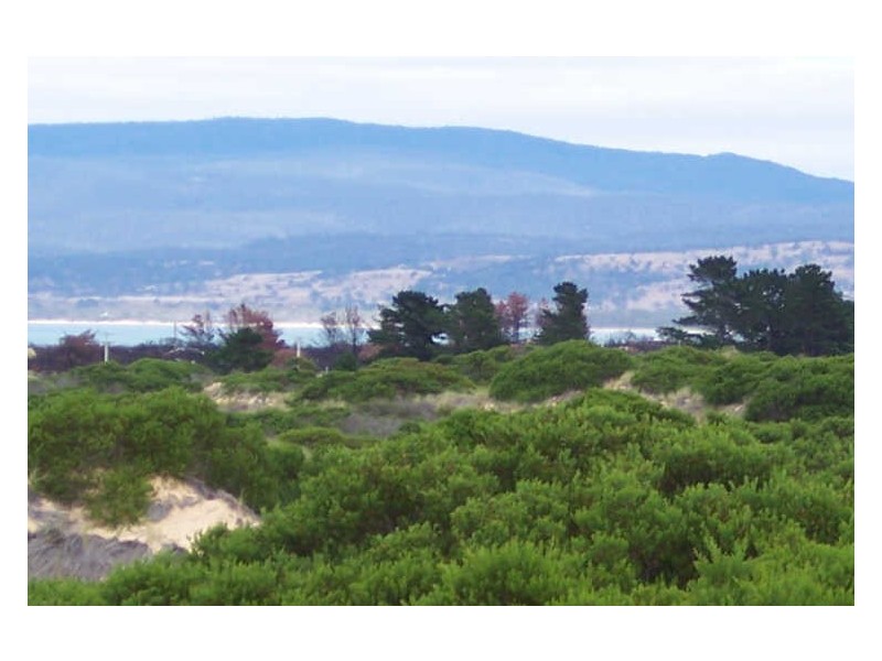 130 Yellow Sandbanks Rd, Dolphin Sands TAS 7190