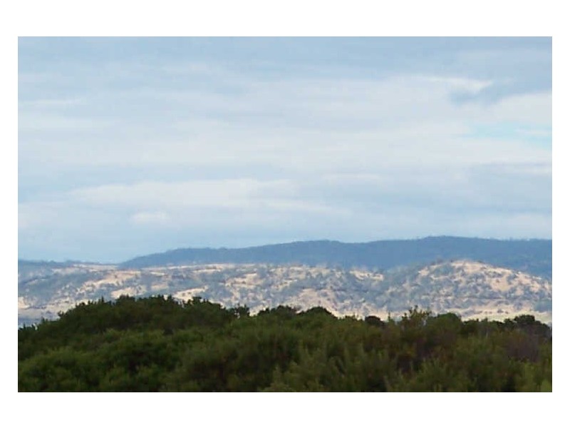 130 Yellow Sandbanks Rd, Dolphin Sands TAS 7190