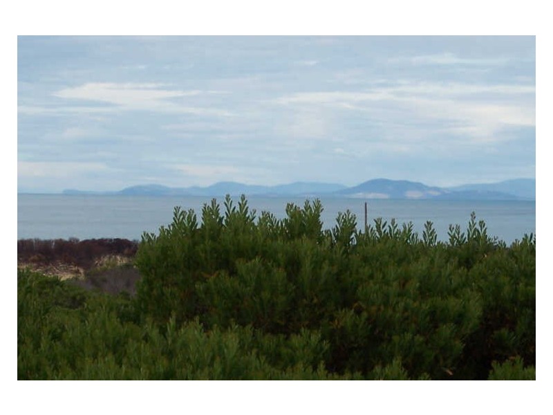 130 Yellow Sandbanks Rd, Dolphin Sands TAS 7190