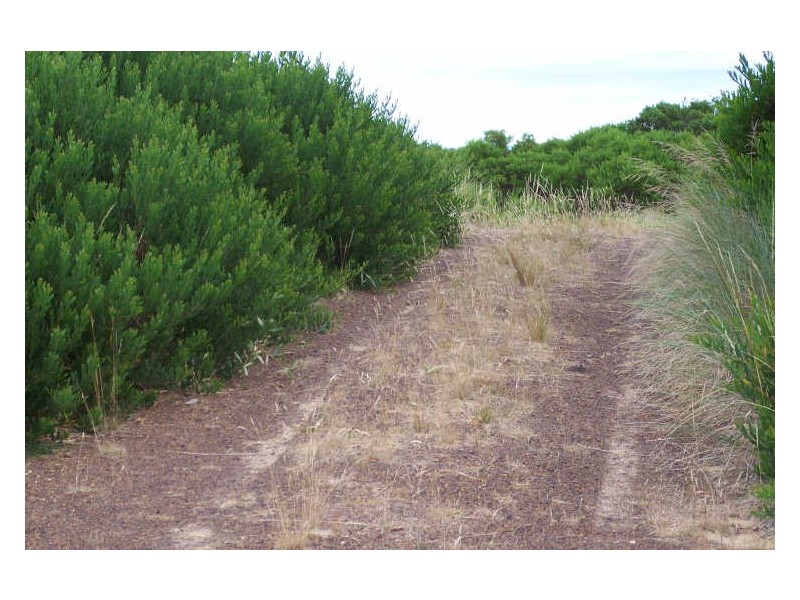 130 Yellow Sandbanks Rd, Dolphin Sands TAS 7190