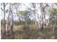 71 Cambria Drive, Swansea TAS 7190