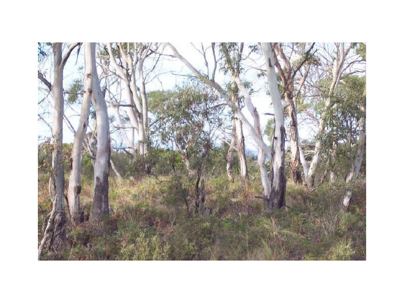 71 Cambria Drive, Swansea TAS 7190