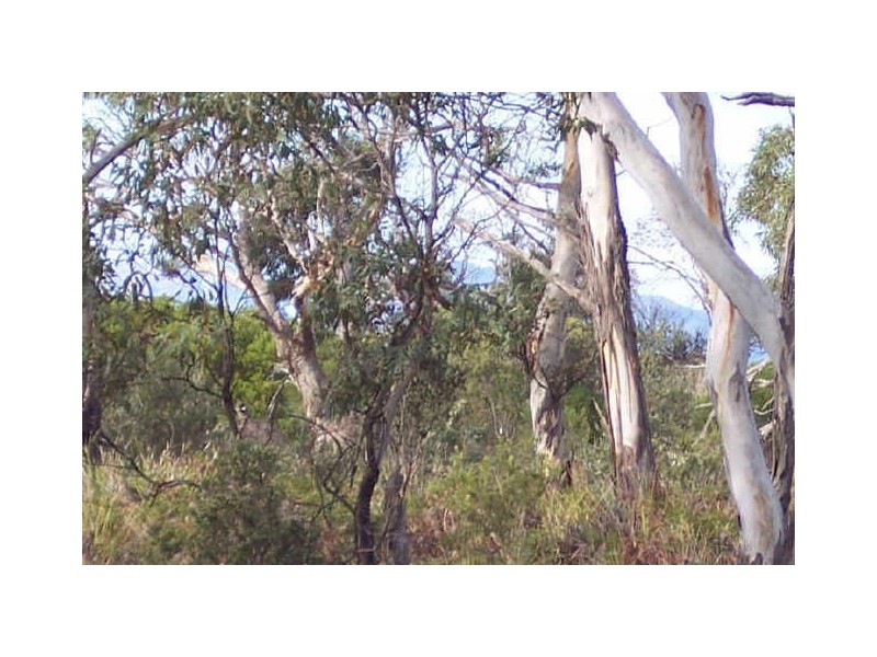 71 Cambria Drive, Swansea TAS 7190