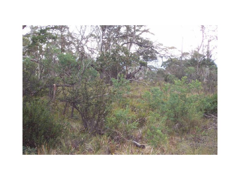 91 Cambria Drive, Dolphin Sands TAS 7190