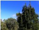 Lot 1 Yellow Sandbanks Road, Dolphin Sands TAS 7190