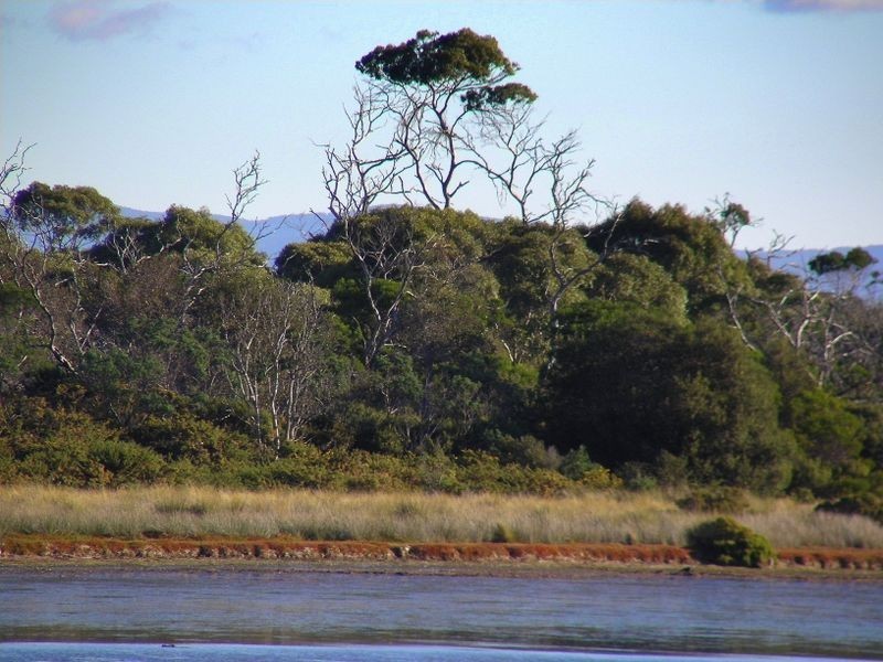 Lot 1 Yellow Sandbanks Road, Dolphin Sands TAS 7190