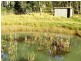 14 Kalangadoo Road, Lake Leake TAS 7210