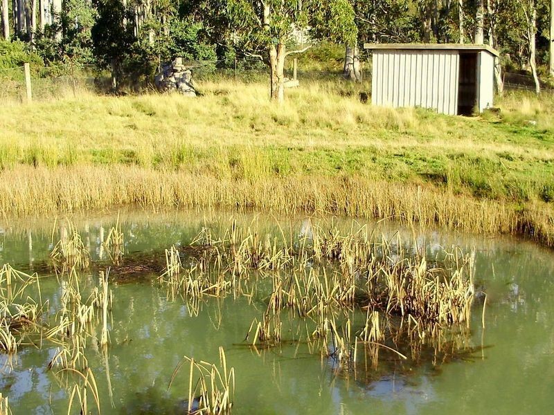 14 Kalangadoo Road, Lake Leake TAS 7210