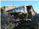 12 River Street, Swansea TAS 7190