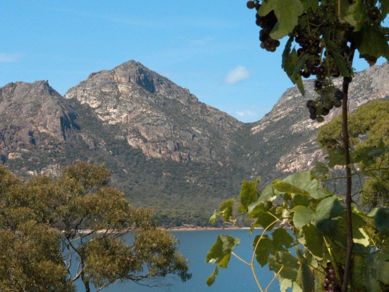 35 Jetty Road, Coles Bay TAS 7215