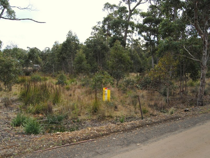 33 Brewis Place, Lake Leake TAS 7210