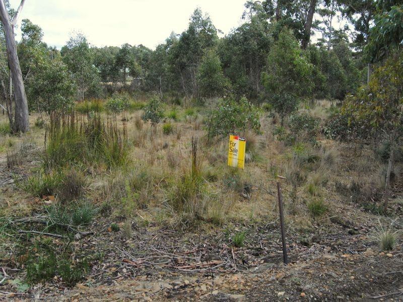 33 Brewis Place, Lake Leake TAS 7210