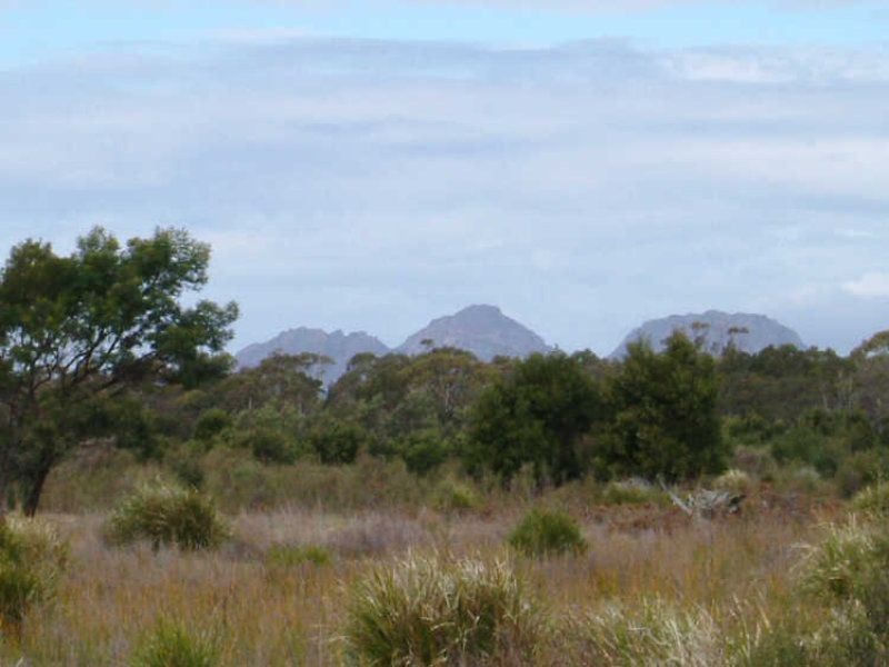 Lot 4 Flacks Road, Coles Bay TAS 7215