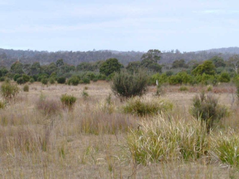 Lot 4 Flacks Road, Coles Bay TAS 7215