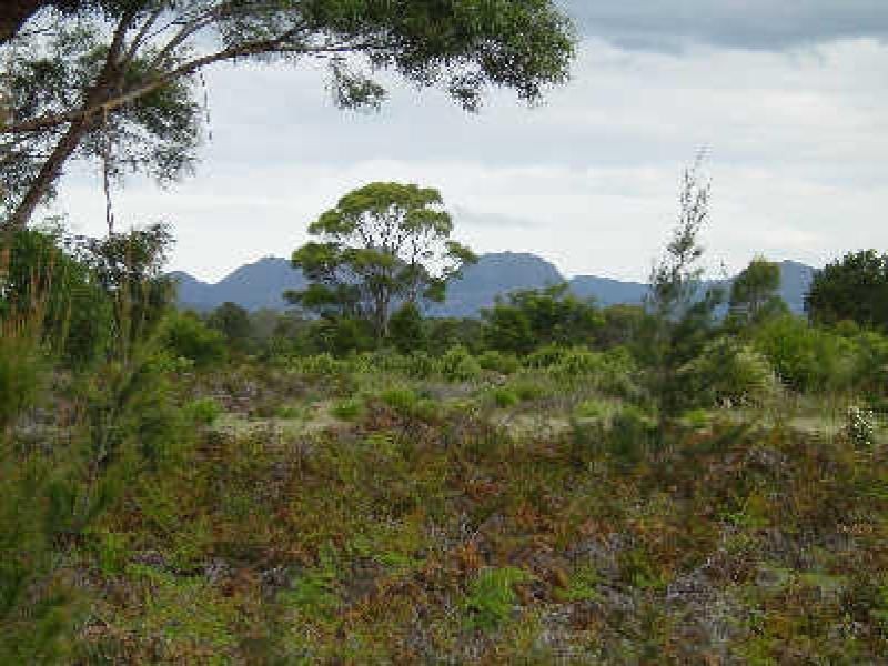 Lot 4 Flacks Road, Coles Bay TAS 7215