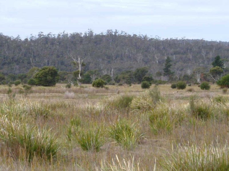 Lot 4 Flacks Road, Coles Bay TAS 7215