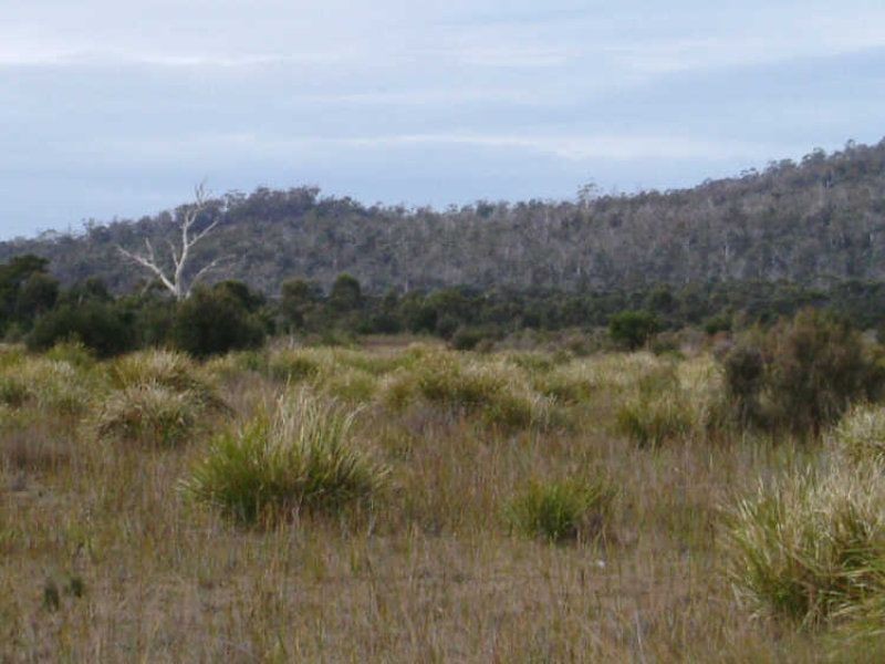 Lot 4 Flacks Road, Coles Bay TAS 7215