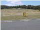 184 Hazards View Drive, Coles Bay TAS 7215