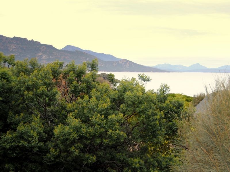 31 Oyster Bay Court, Coles Bay TAS 7215