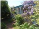 19 Franklin Street, Swansea TAS 7190