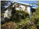 19 Franklin Street, Swansea TAS 7190