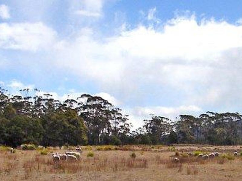 10564 Tasman Highway, Little Swanport TAS 7190