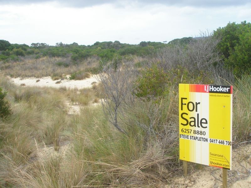 Lot 173 Dolphin Sands Road, Swansea TAS 7190