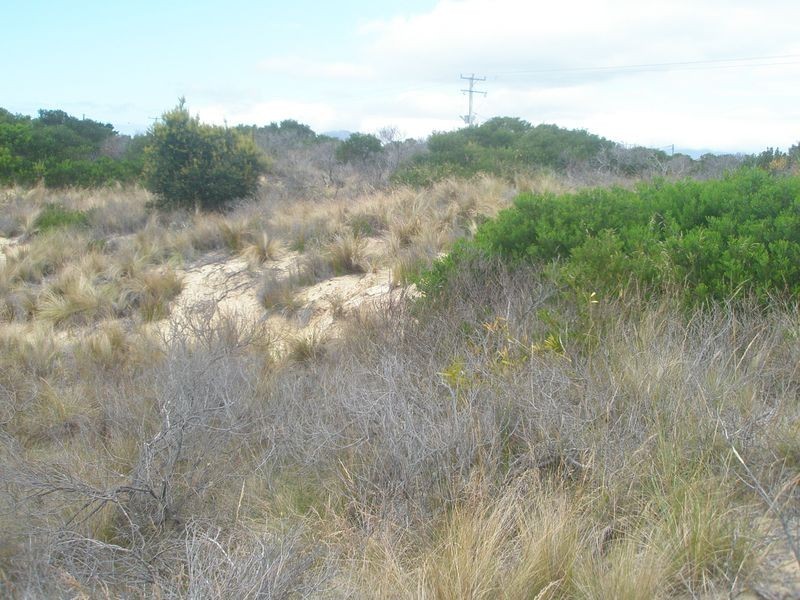 Lot 173 Dolphin Sands Road, Swansea TAS 7190