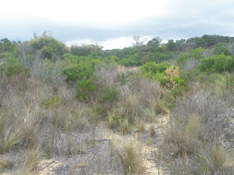 Lot 173 Dolphin Sands Road, Swansea TAS 7190