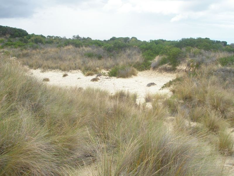 Lot 173 Dolphin Sands Road, Swansea TAS 7190