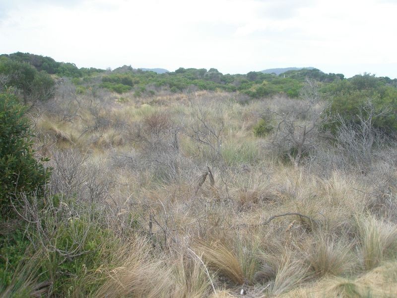 Lot 173 Dolphin Sands Road, Swansea TAS 7190